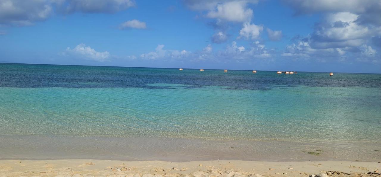 Airport Beach Hotel Montego Bay Eksteriør bilde
